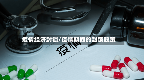 疫情经济封锁/疫情期间的封锁政策
