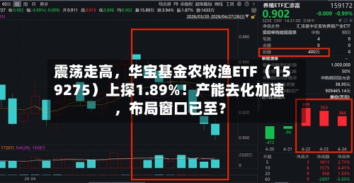 震荡走高，华宝基金农牧渔ETF（159275）上探1.89%！产能去化加速，布局窗口已至？