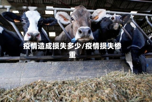 疫情造成损失多少/疫情损失惨重
