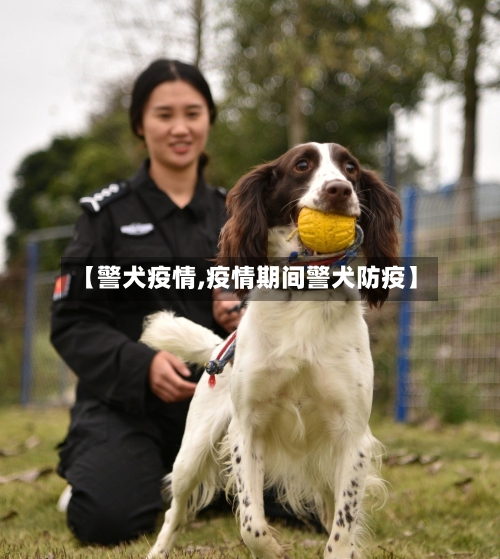 【警犬疫情,疫情期间警犬防疫】