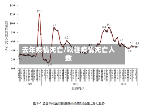 去年疫情死亡/以往疫情死亡人数