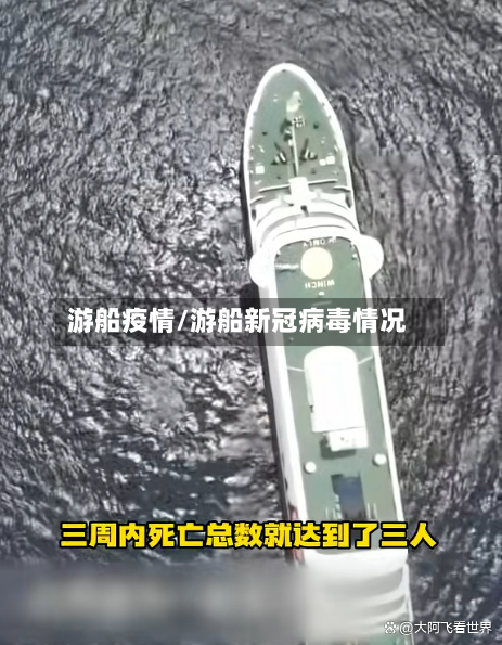 游船疫情/游船新冠病毒情况