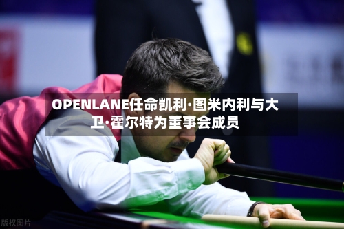 OPENLANE任命凯利·图米内利与大卫·霍尔特为董事会成员