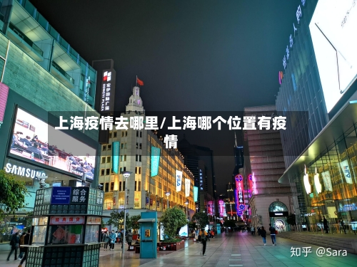 上海疫情去哪里/上海哪个位置有疫情
