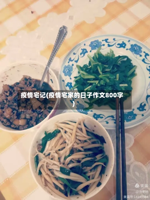 疫情宅记(疫情宅家的日子作文800字)