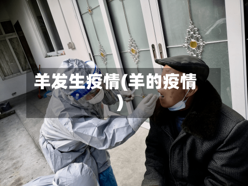 羊发生疫情(羊的疫情)