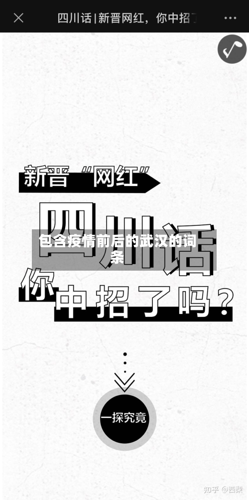 包含疫情前后的武汉的词条