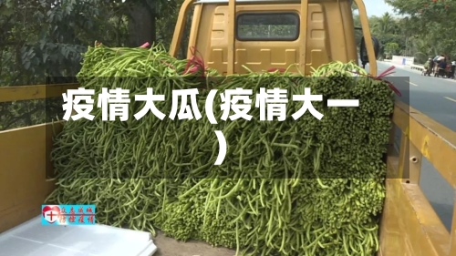 疫情大瓜(疫情大一)