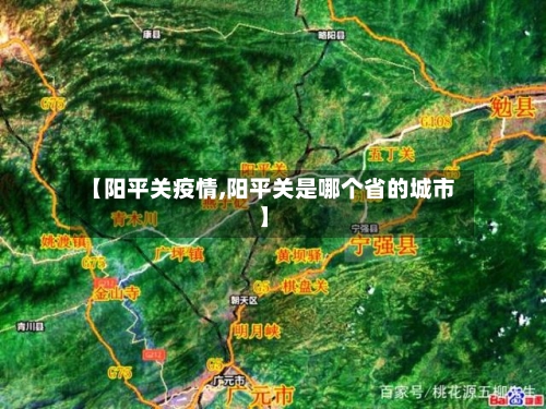 【阳平关疫情,阳平关是哪个省的城市】