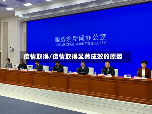 疫情取得/疫情取得显著成效的原因