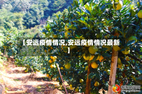 【安远疫情情况,安远疫情情况最新】