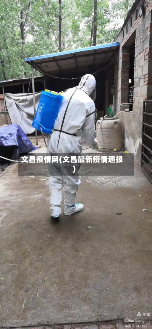 文昌疫情网(文昌最新疫情通报)