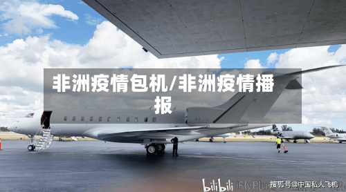非洲疫情包机/非洲疫情播报