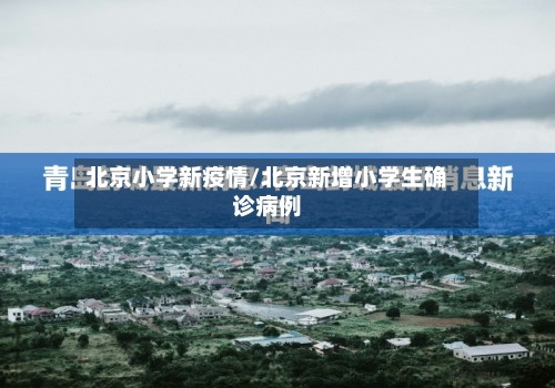 北京小学新疫情/北京新增小学生确诊病例