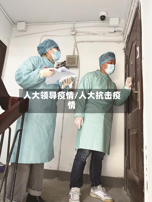 人大领导疫情/人大抗击疫情