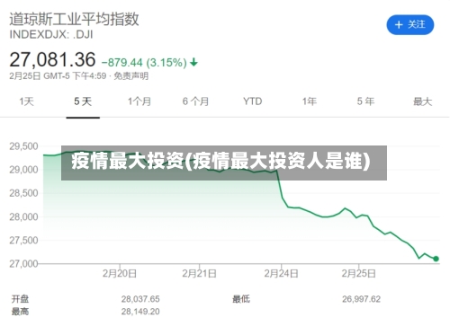 疫情最大投资(疫情最大投资人是谁)