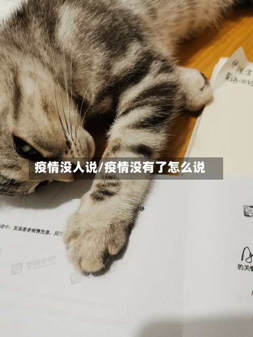 疫情没人说/疫情没有了怎么说