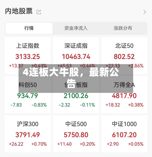4连板大牛股，最新公告