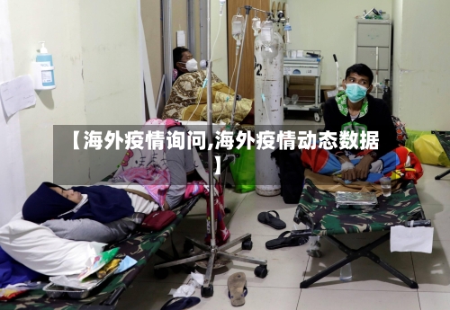 【海外疫情询问,海外疫情动态数据】