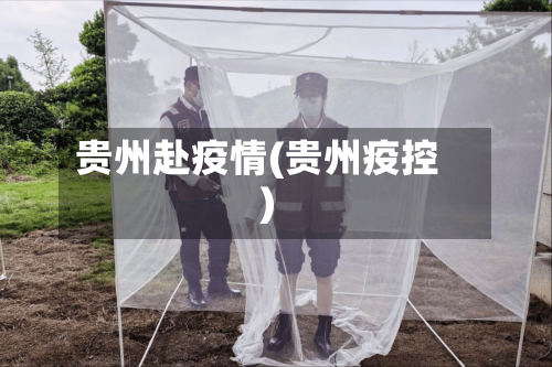 贵州赴疫情(贵州疫控)