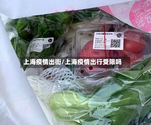 上海疫情出街/上海疫情出行受限吗