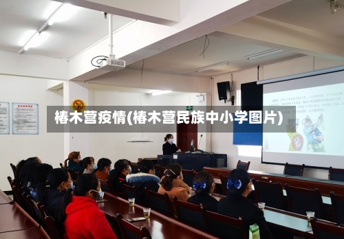 椿木营疫情(椿木营民族中小学图片)