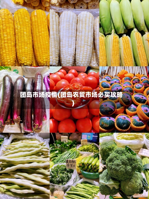 团岛市场疫情(团岛农贸市场必买攻略)