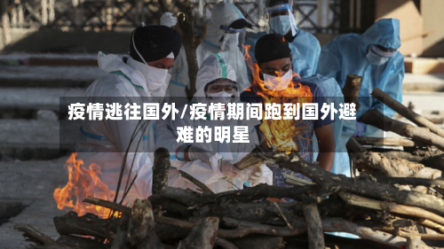疫情逃往国外/疫情期间跑到国外避难的明星