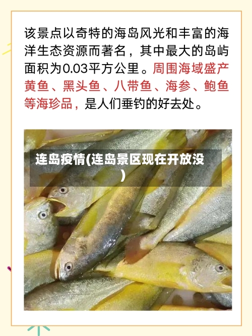 连岛疫情(连岛景区现在开放没)