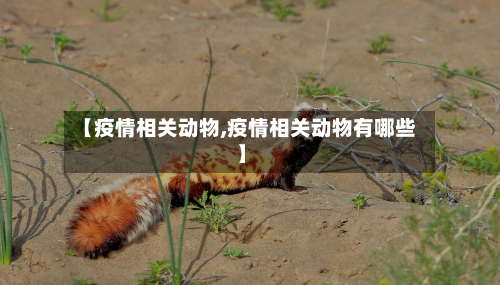 【疫情相关动物,疫情相关动物有哪些】