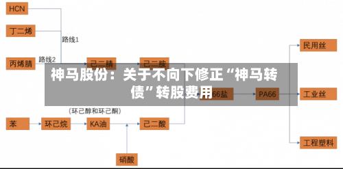 神马股份：关于不向下修正“神马转债”转股费用