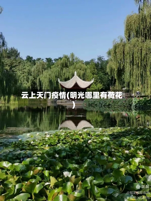 云上天门疫情(明光哪里有荷花)