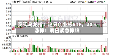 突现乌龙指！这只创业板ETF，20%涨停！明日紧急停牌