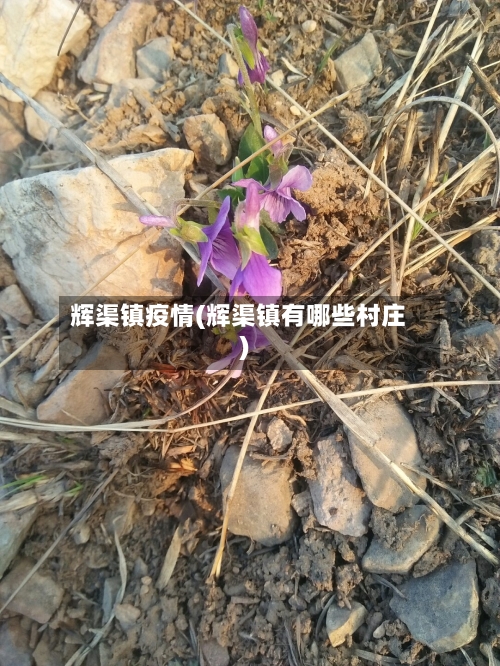 辉渠镇疫情(辉渠镇有哪些村庄)