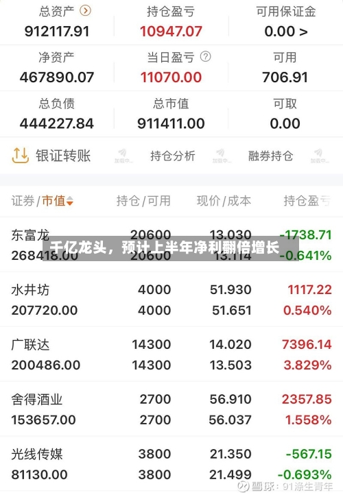 千亿龙头，预计上半年净利翻倍增长