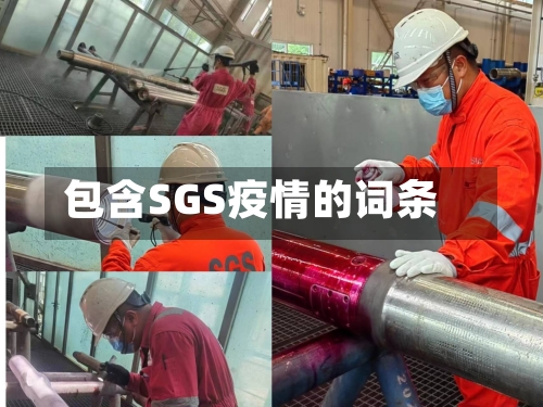 包含SGS疫情的词条