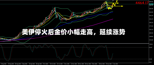 美伊停火后金价小幅走高，延续涨势