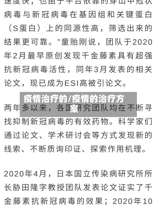 疫情治疗的/疫情的治疗方案