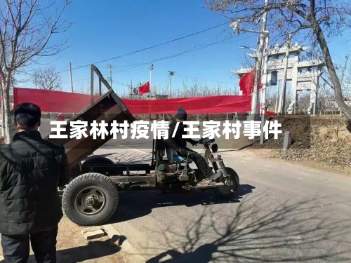 王家林村疫情/王家村事件