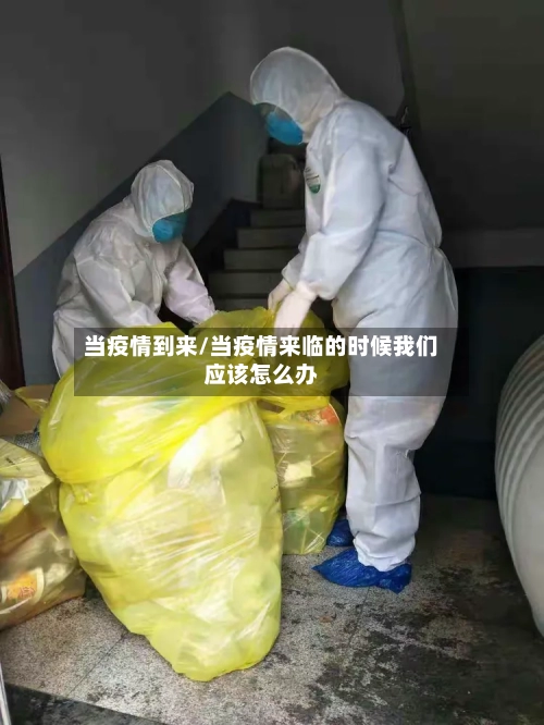 当疫情到来/当疫情来临的时候我们应该怎么办