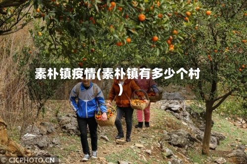 素朴镇疫情(素朴镇有多少个村)