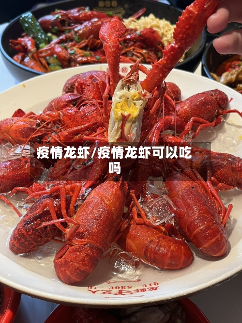 疫情龙虾/疫情龙虾可以吃吗