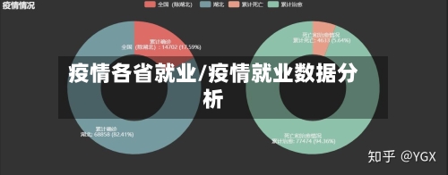 疫情各省就业/疫情就业数据分析