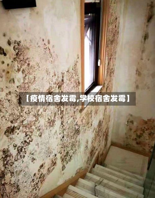 【疫情宿舍发霉,学校宿舍发霉】