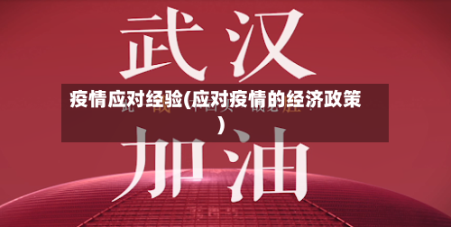 疫情应对经验(应对疫情的经济政策)