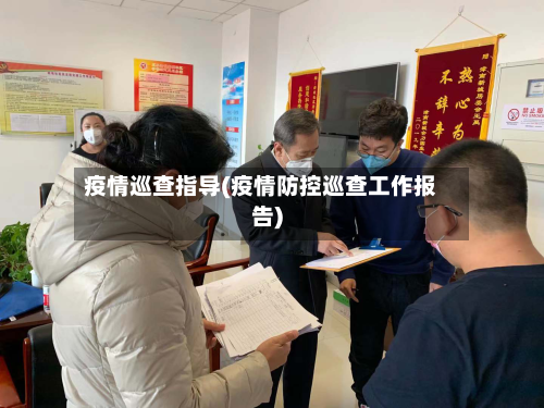 疫情巡查指导(疫情防控巡查工作报告)