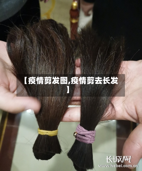 【疫情剪发图,疫情剪去长发】