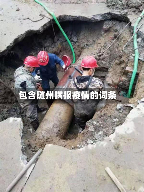 包含随州瞒报疫情的词条