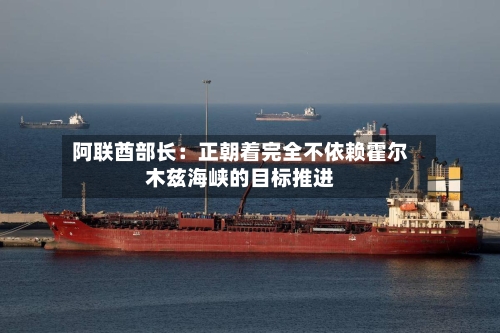 阿联酋部长：正朝着完全不依赖霍尔木兹海峡的目标推进