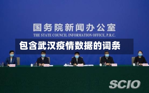 包含武汉疫情数据的词条